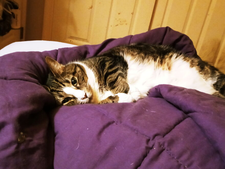 Hey Pandas, Post The Coolest Picture Of An Animal That You’ve Taken (Closed) Hey Pandas, Post The Coolest Picture Of An Animal That You’ve Taken (Closed)