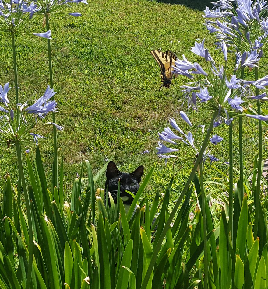 Hey Pandas, Post The Coolest Picture Of An Animal That You’ve Taken (Closed) Hey Pandas, Post The Coolest Picture Of An Animal That You’ve Taken (Closed)