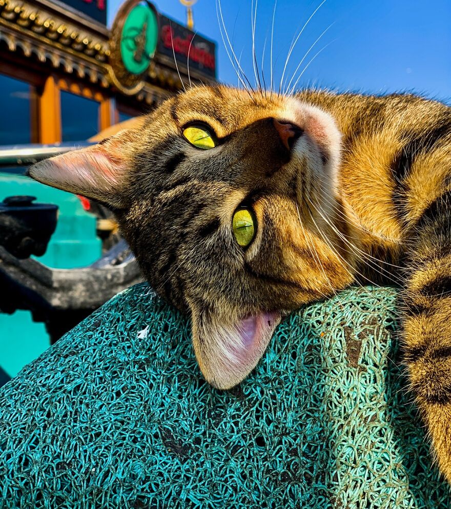 Hey Pandas, Post The Coolest Picture Of An Animal That You’ve Taken (Closed) Hey Pandas, Post The Coolest Picture Of An Animal That You’ve Taken (Closed)