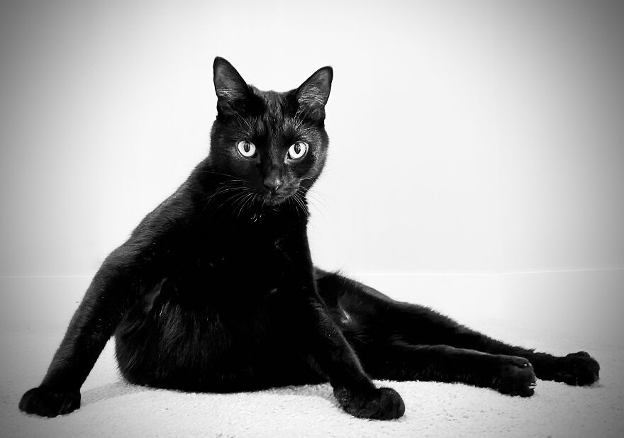 Hey Pandas, Post The Coolest Picture Of An Animal That You’ve Taken (Closed) Hey Pandas, Post The Coolest Picture Of An Animal That You’ve Taken (Closed)