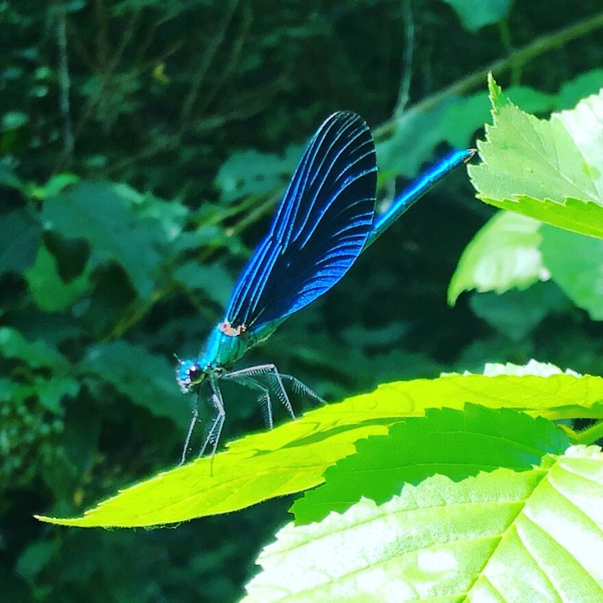 Hey Pandas, Post The Coolest Picture Of An Animal That You’ve Taken (Closed) Hey Pandas, Post The Coolest Picture Of An Animal That You’ve Taken (Closed)