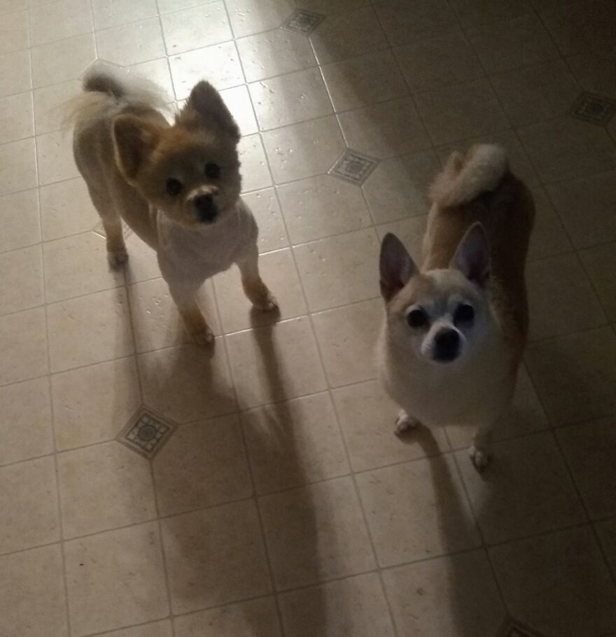 Hey Pandas, Post The Coolest Picture Of An Animal That You’ve Taken (Closed) Hey Pandas, Post The Coolest Picture Of An Animal That You’ve Taken (Closed)