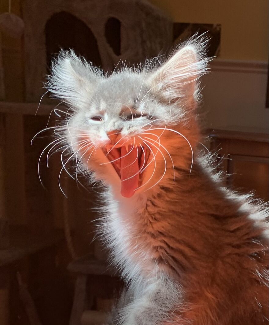 Hey Pandas, Post The Coolest Picture Of An Animal That You’ve Taken (Closed) Hey Pandas, Post The Coolest Picture Of An Animal That You’ve Taken (Closed)