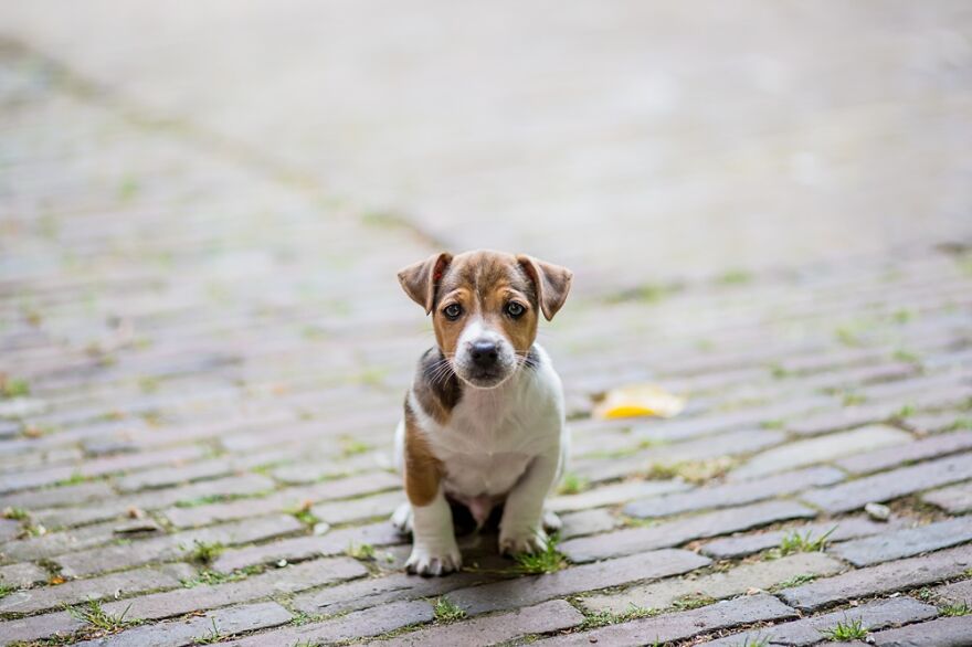 Hey Pandas, Post The Coolest Picture Of An Animal That You’ve Taken (Closed) Hey Pandas, Post The Coolest Picture Of An Animal That You’ve Taken (Closed)