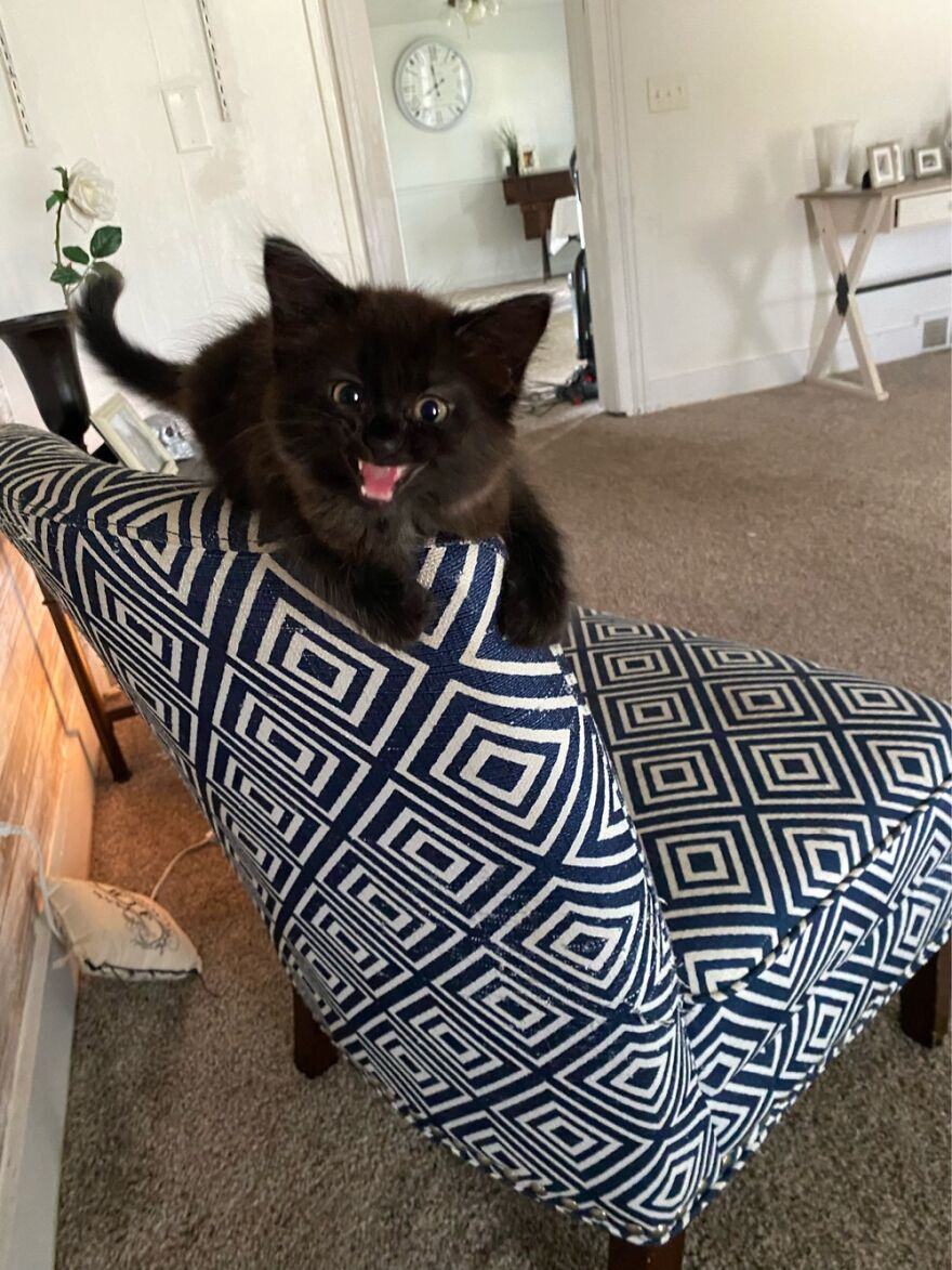 Hey Pandas, Post The Coolest Picture Of An Animal That You’ve Taken (Closed) Hey Pandas, Post The Coolest Picture Of An Animal That You’ve Taken (Closed)