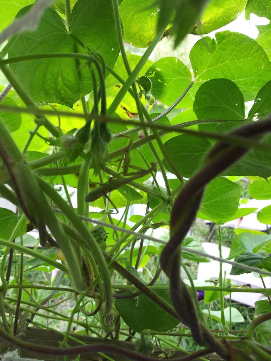 Hey Pandas, Post The Coolest Picture Of An Animal That You’ve Taken (Closed) Hey Pandas, Post The Coolest Picture Of An Animal That You’ve Taken (Closed)