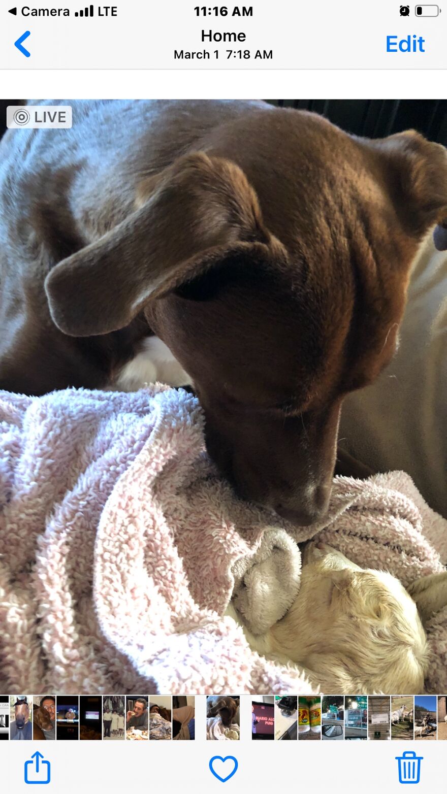 Hey Pandas, Post The Coolest Picture Of An Animal That You’ve Taken (Closed) Hey Pandas, Post The Coolest Picture Of An Animal That You’ve Taken (Closed)