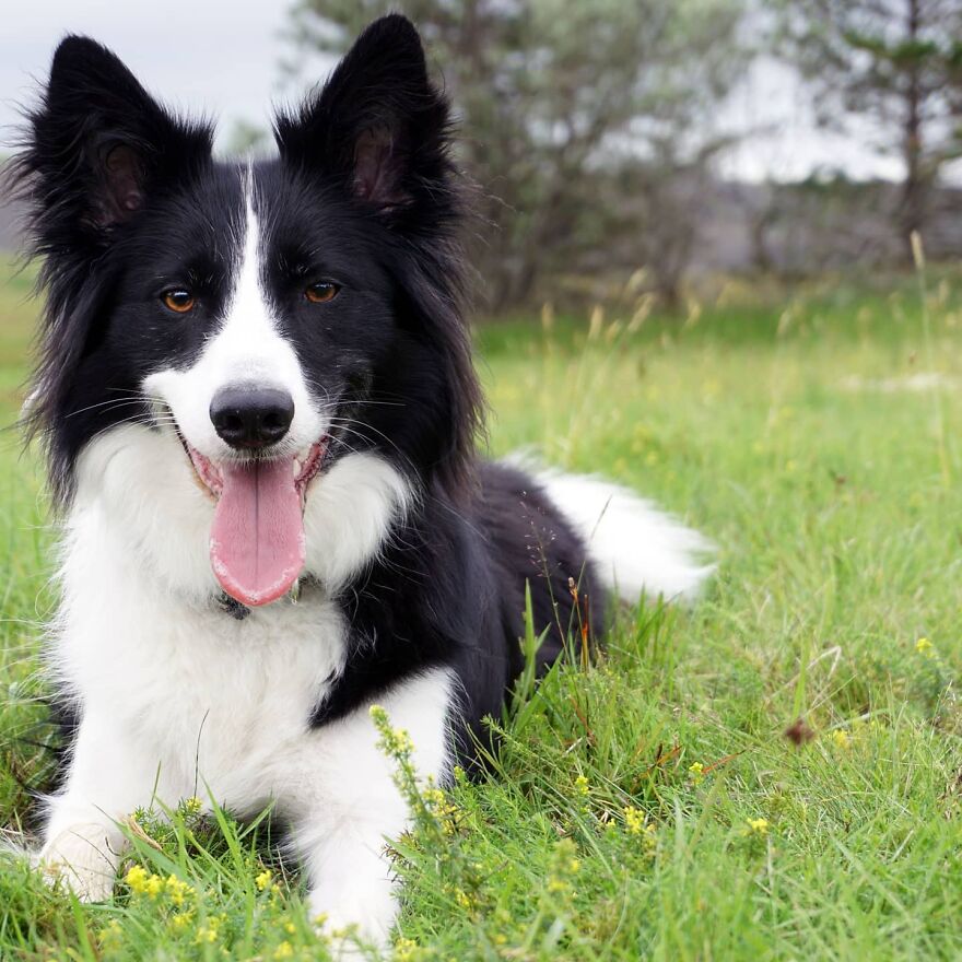 Hey Pandas, Post The Coolest Picture Of An Animal That You’ve Taken (Closed) Hey Pandas, Post The Coolest Picture Of An Animal That You’ve Taken (Closed)