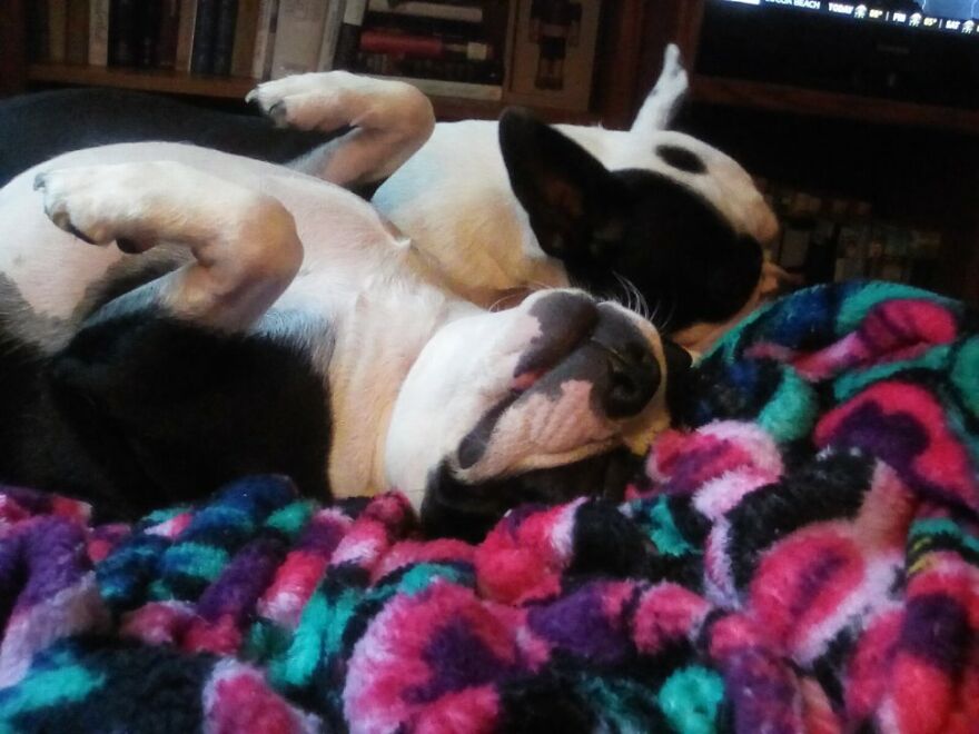 Hey Pandas, Post The Coolest Picture Of An Animal That You’ve Taken (Closed) Hey Pandas, Post The Coolest Picture Of An Animal That You’ve Taken (Closed)