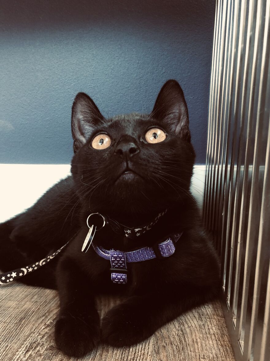 Hey Pandas, Post The Coolest Picture Of An Animal That You’ve Taken (Closed) Hey Pandas, Post The Coolest Picture Of An Animal That You’ve Taken (Closed)