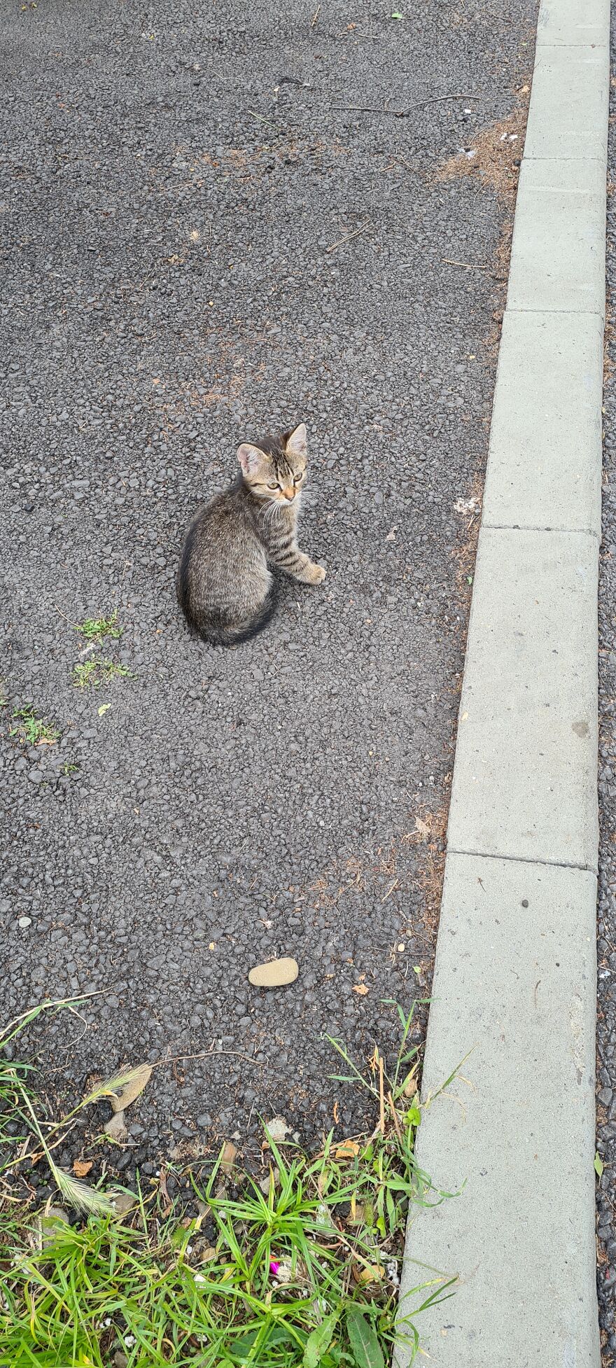 Hey Pandas, Post The Coolest Picture Of An Animal That You’ve Taken (Closed) Hey Pandas, Post The Coolest Picture Of An Animal That You’ve Taken (Closed)