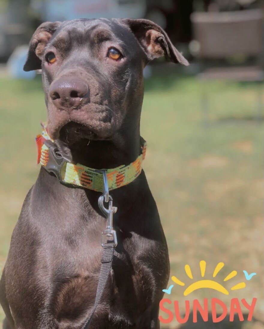 Hey Pandas, Post The Coolest Picture Of An Animal That You’ve Taken (Closed) Hey Pandas, Post The Coolest Picture Of An Animal That You’ve Taken (Closed)