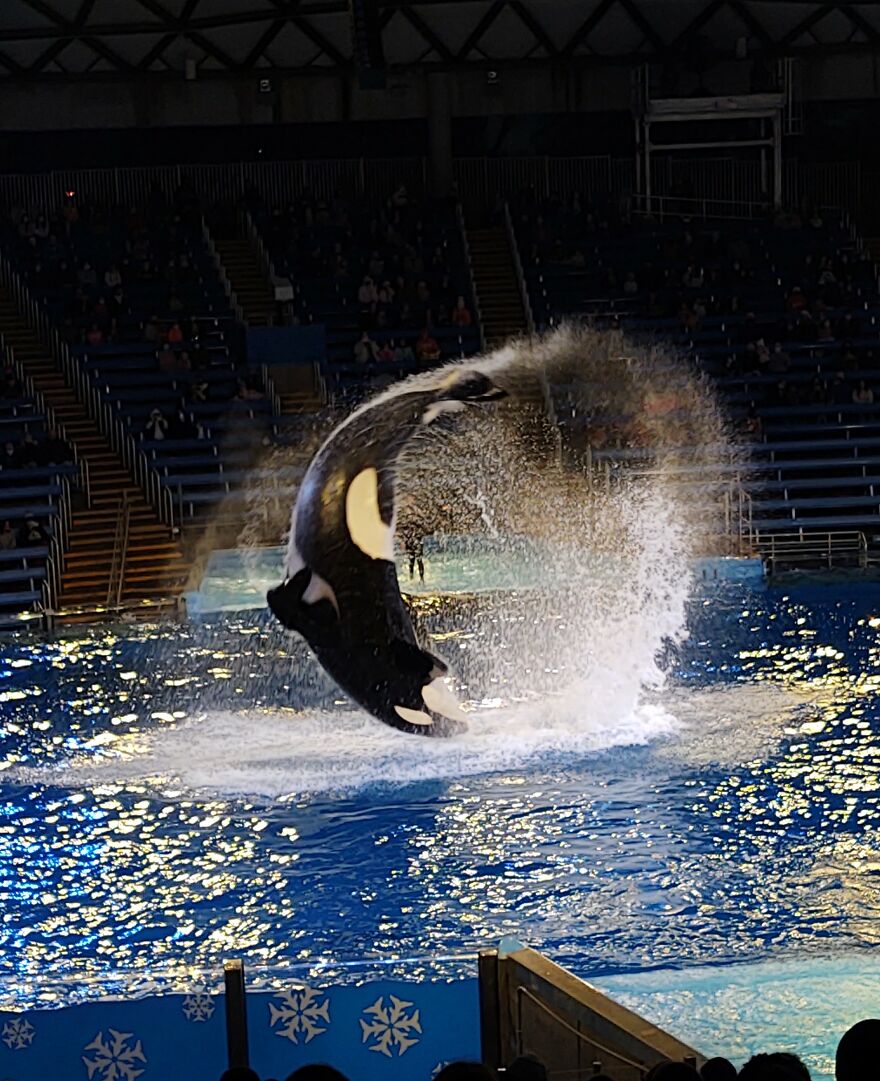 Hey Pandas, Post The Coolest Picture Of An Animal That You’ve Taken (Closed) Hey Pandas, Post The Coolest Picture Of An Animal That You’ve Taken (Closed)