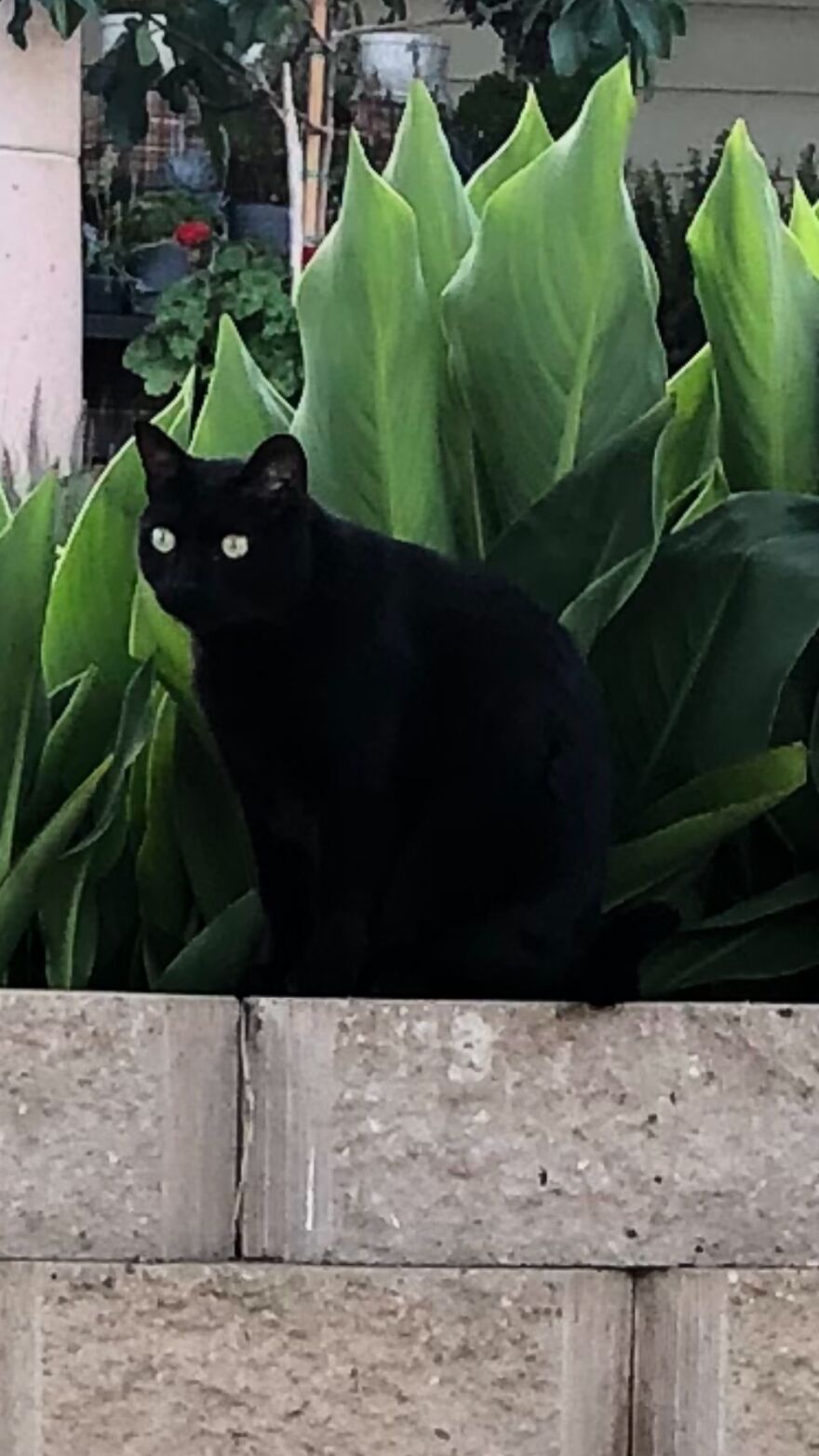 Hey Pandas, Post The Coolest Picture Of An Animal That You’ve Taken (Closed) Hey Pandas, Post The Coolest Picture Of An Animal That You’ve Taken (Closed)