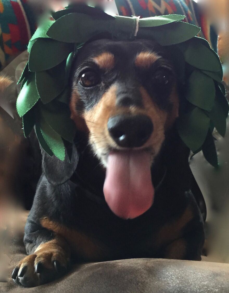 Hey Pandas, Post The Coolest Picture Of An Animal That You’ve Taken (Closed) Hey Pandas, Post The Coolest Picture Of An Animal That You’ve Taken (Closed)