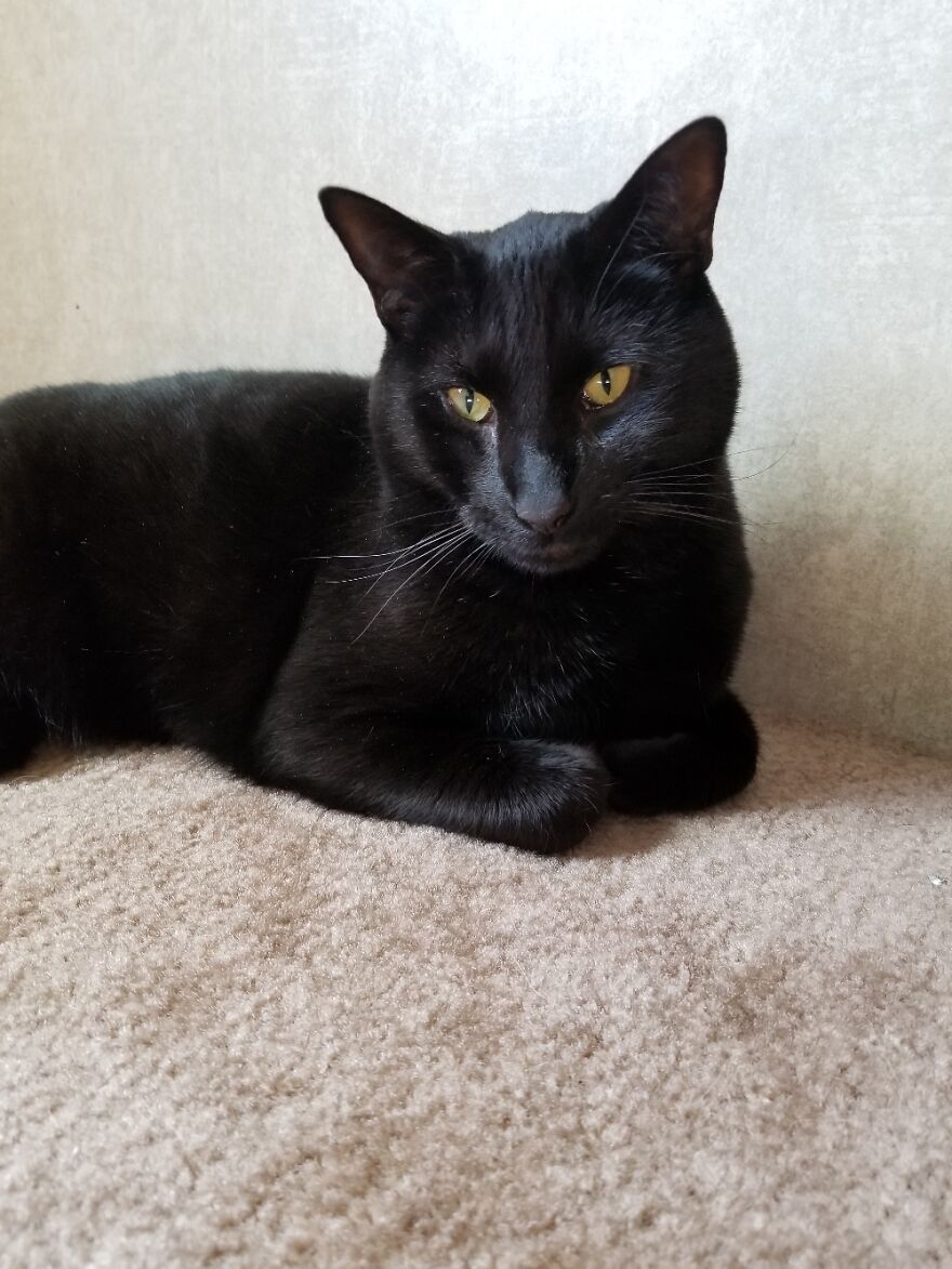 Hey Pandas, Post The Coolest Picture Of An Animal That You’ve Taken (Closed) Hey Pandas, Post The Coolest Picture Of An Animal That You’ve Taken (Closed)