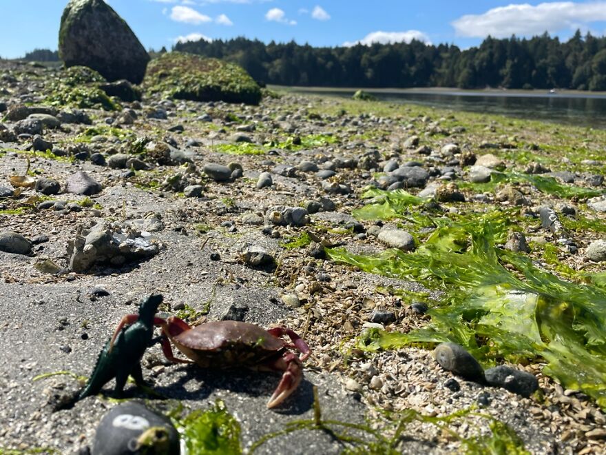 Hey Pandas, Post The Coolest Picture Of An Animal That You’ve Taken (Closed) Hey Pandas, Post The Coolest Picture Of An Animal That You’ve Taken (Closed)