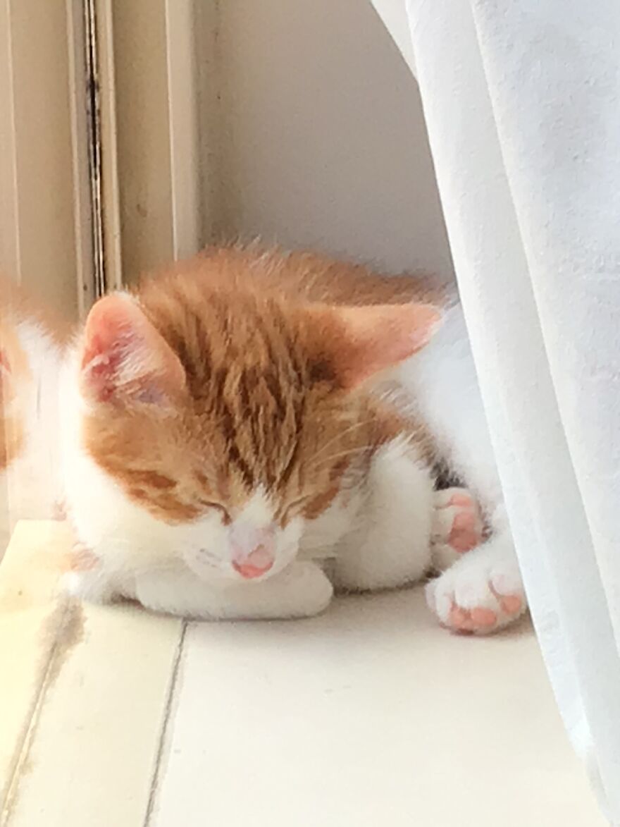 Hey Pandas, Post The Coolest Picture Of An Animal That You’ve Taken (Closed) Hey Pandas, Post The Coolest Picture Of An Animal That You’ve Taken (Closed)