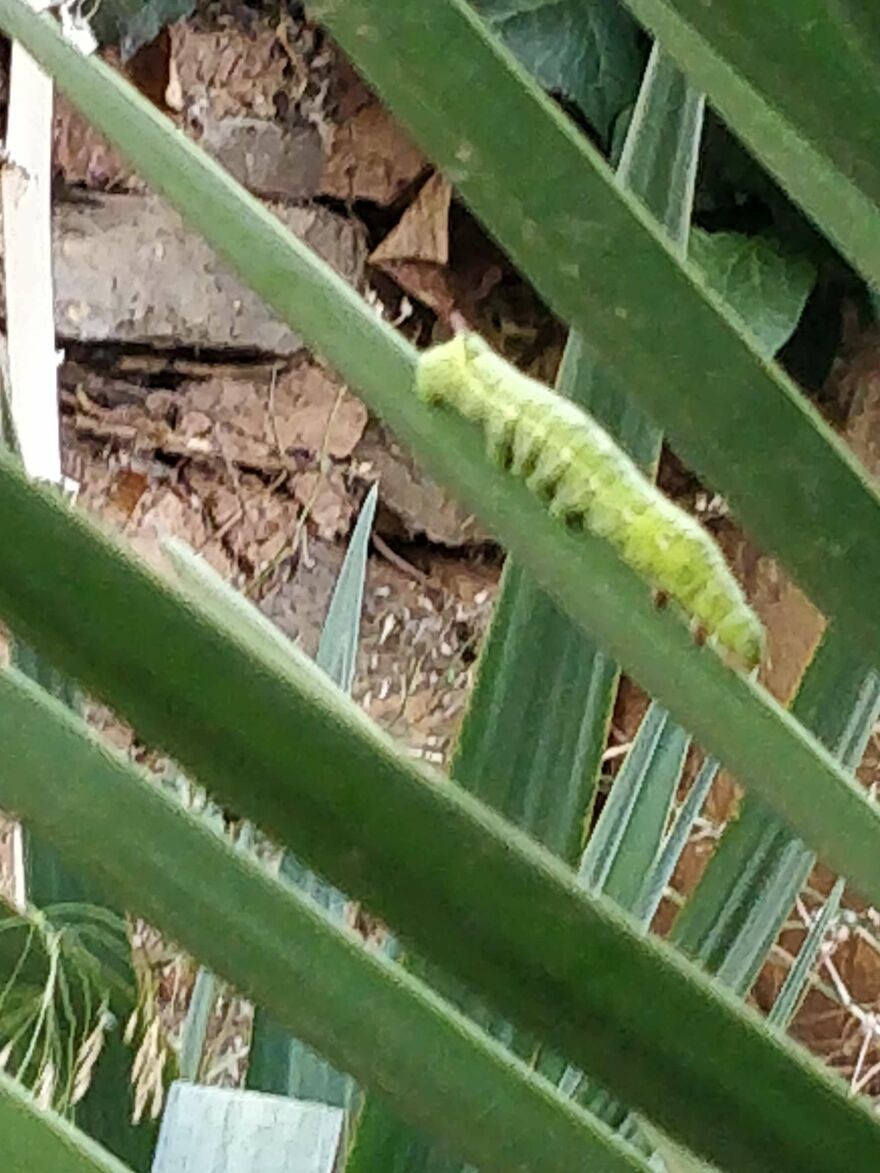 Hey Pandas, Post The Coolest Picture Of An Animal That You’ve Taken (Closed) Hey Pandas, Post The Coolest Picture Of An Animal That You’ve Taken (Closed)