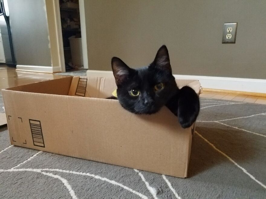 Hey Pandas, Post The Coolest Picture Of An Animal That You’ve Taken (Closed) Hey Pandas, Post The Coolest Picture Of An Animal That You’ve Taken (Closed)