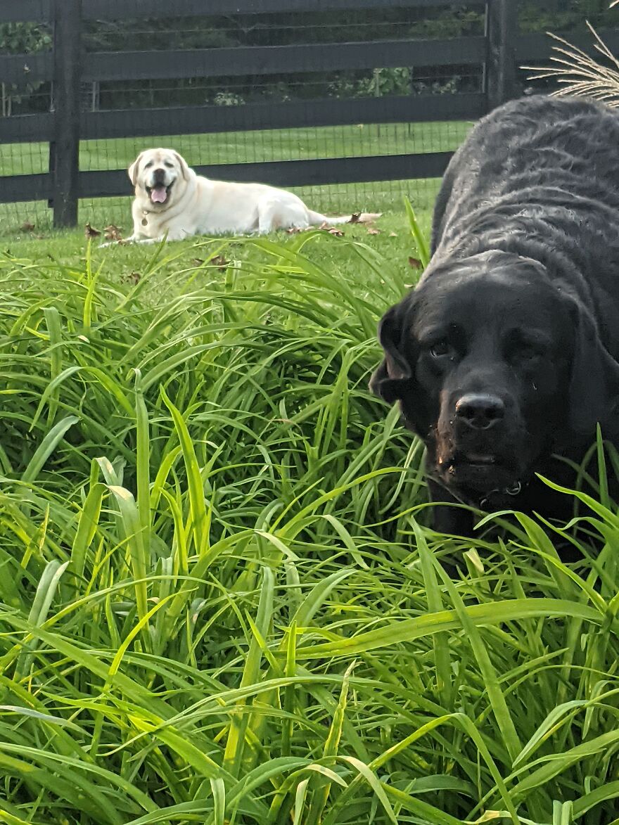 Hey Pandas, Post The Coolest Picture Of An Animal That You’ve Taken (Closed) Hey Pandas, Post The Coolest Picture Of An Animal That You’ve Taken (Closed)