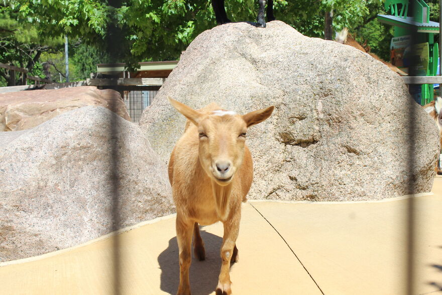 Hey Pandas, Post The Coolest Picture Of An Animal That You’ve Taken (Closed) Hey Pandas, Post The Coolest Picture Of An Animal That You’ve Taken (Closed)