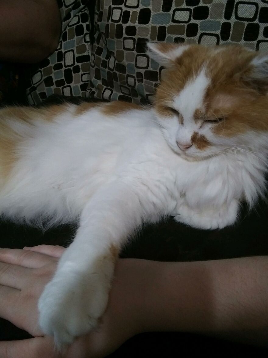 Hey Pandas, Post The Coolest Picture Of An Animal That You’ve Taken (Closed) Hey Pandas, Post The Coolest Picture Of An Animal That You’ve Taken (Closed)