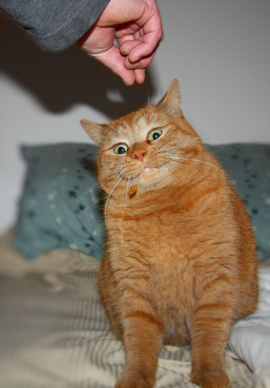 Hey Pandas, Post The Coolest Picture Of An Animal That You’ve Taken (Closed) Hey Pandas, Post The Coolest Picture Of An Animal That You’ve Taken (Closed)