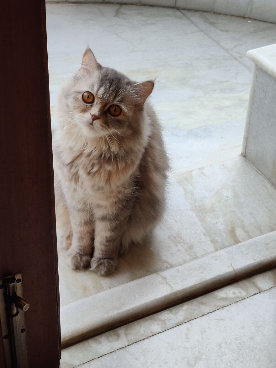 Hey Pandas, Post The Coolest Picture Of An Animal That You’ve Taken (Closed) Hey Pandas, Post The Coolest Picture Of An Animal That You’ve Taken (Closed)