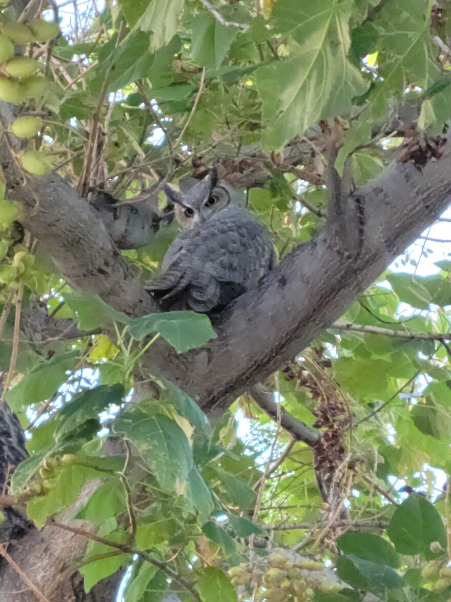 Hey Pandas, Post The Coolest Picture Of An Animal That You’ve Taken (Closed) Hey Pandas, Post The Coolest Picture Of An Animal That You’ve Taken (Closed)