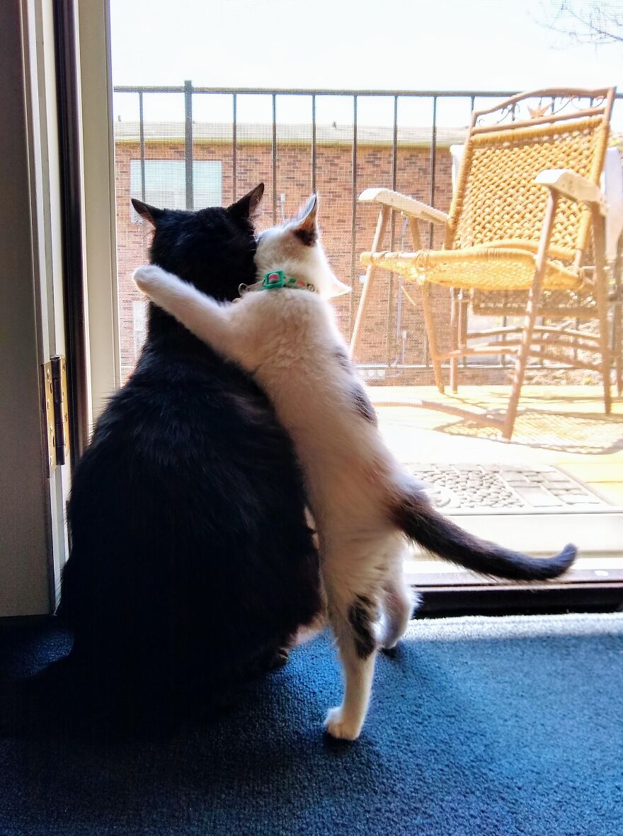 Hey Pandas, Post The Coolest Picture Of An Animal That You’ve Taken (Closed) Hey Pandas, Post The Coolest Picture Of An Animal That You’ve Taken (Closed)