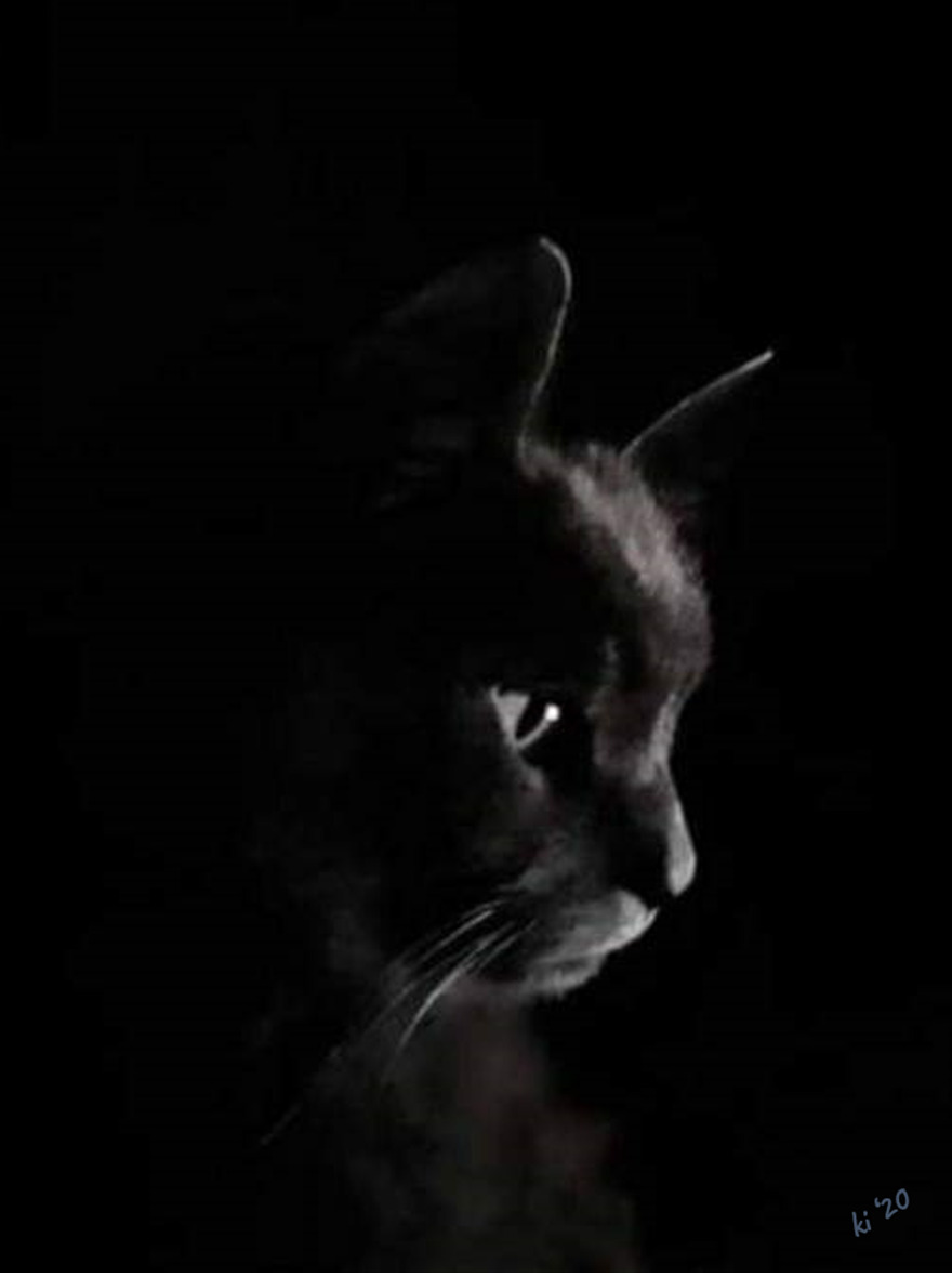 Hey Pandas, Post The Coolest Picture Of An Animal That You’ve Taken (Closed) Hey Pandas, Post The Coolest Picture Of An Animal That You’ve Taken (Closed)