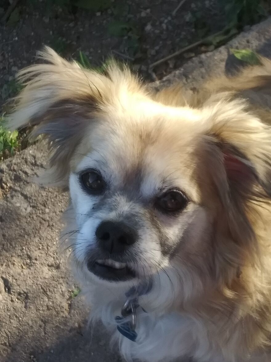 Hey Pandas, Post The Coolest Picture Of An Animal That You’ve Taken (Closed) Hey Pandas, Post The Coolest Picture Of An Animal That You’ve Taken (Closed)