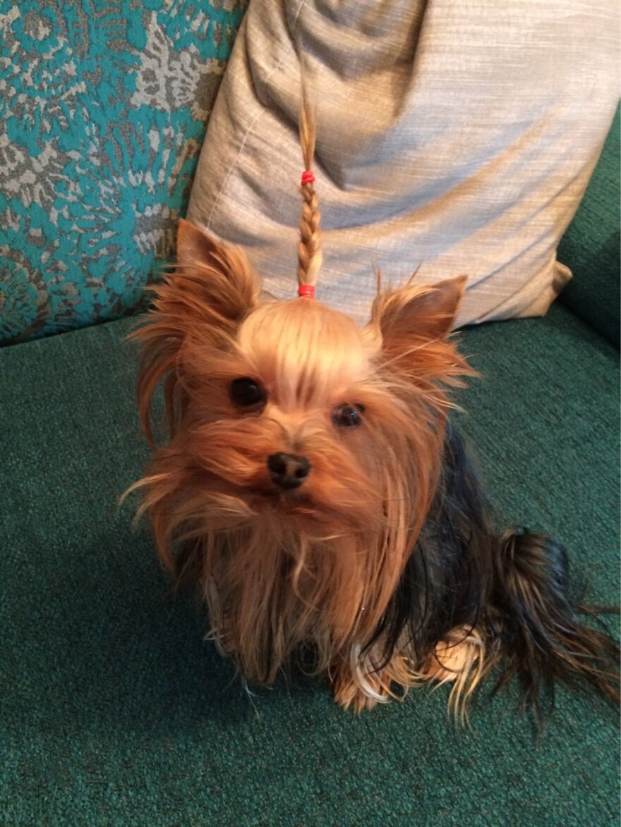 Hey Pandas, Post The Coolest Picture Of An Animal That You’ve Taken (Closed) Hey Pandas, Post The Coolest Picture Of An Animal That You’ve Taken (Closed)