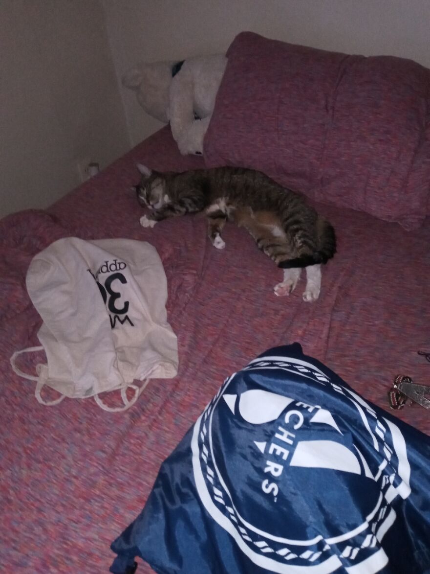 Hey Pandas, Post The Coolest Picture Of An Animal That You’ve Taken (Closed) Hey Pandas, Post The Coolest Picture Of An Animal That You’ve Taken (Closed)