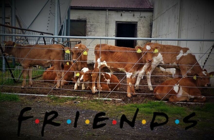 Hey Pandas, Post The Coolest Picture Of An Animal That You’ve Taken (Closed) Hey Pandas, Post The Coolest Picture Of An Animal That You’ve Taken (Closed)