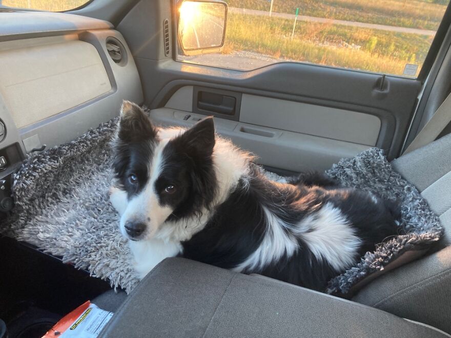 Hey Pandas, Post The Coolest Picture Of An Animal That You’ve Taken (Closed) Hey Pandas, Post The Coolest Picture Of An Animal That You’ve Taken (Closed)