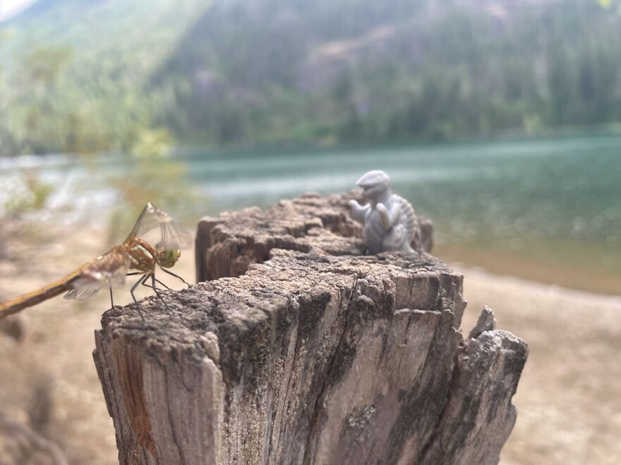 Hey Pandas, Post The Coolest Picture Of An Animal That You’ve Taken (Closed) Hey Pandas, Post The Coolest Picture Of An Animal That You’ve Taken (Closed)