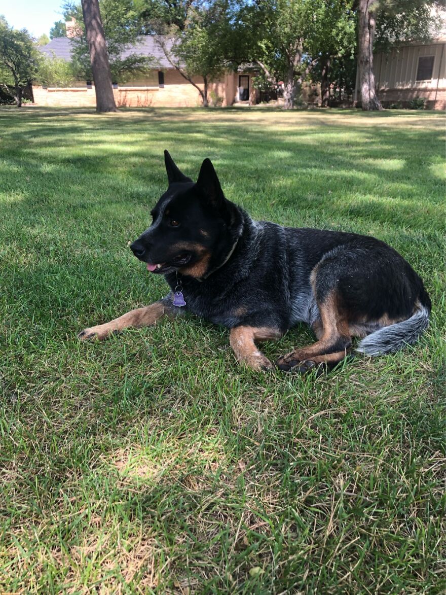 Hey Pandas, Post The Coolest Picture Of An Animal That You’ve Taken (Closed) Hey Pandas, Post The Coolest Picture Of An Animal That You’ve Taken (Closed)