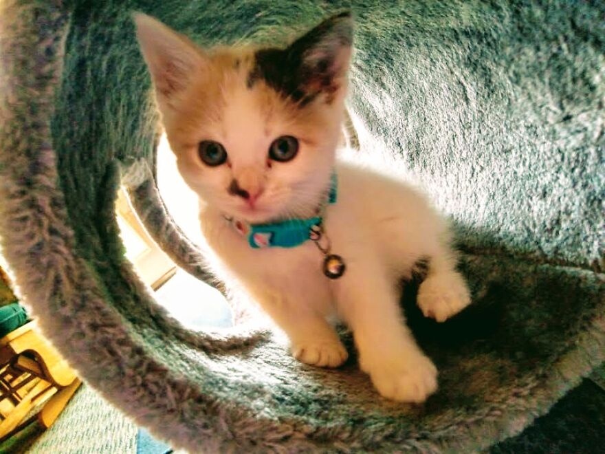 Hey Pandas, Post The Coolest Picture Of An Animal That You’ve Taken (Closed) Hey Pandas, Post The Coolest Picture Of An Animal That You’ve Taken (Closed)