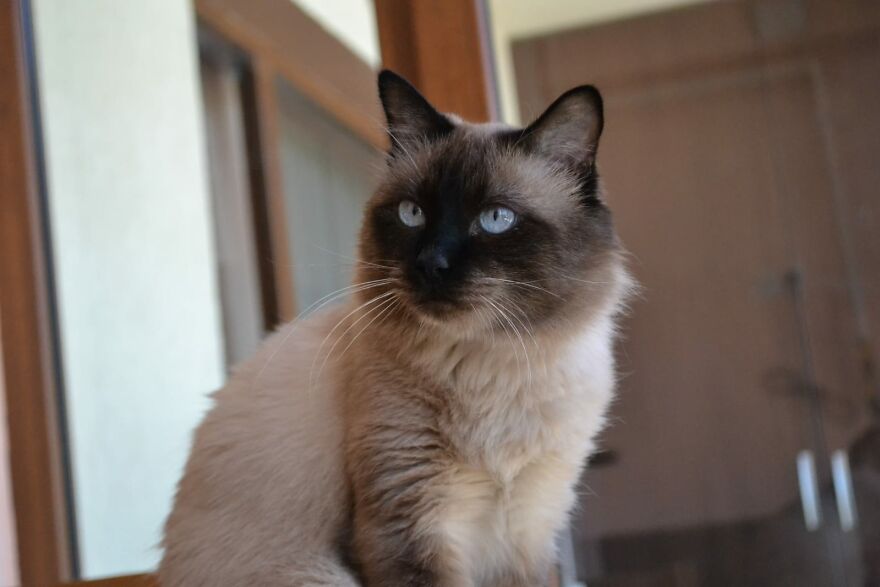 Hey Pandas, Post The Coolest Picture Of An Animal That You’ve Taken (Closed) Hey Pandas, Post The Coolest Picture Of An Animal That You’ve Taken (Closed)