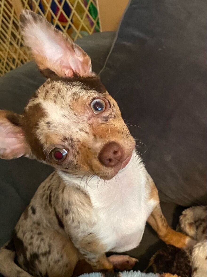 Hey Pandas, Post The Coolest Picture Of An Animal That You’ve Taken (Closed) Hey Pandas, Post The Coolest Picture Of An Animal That You’ve Taken (Closed)