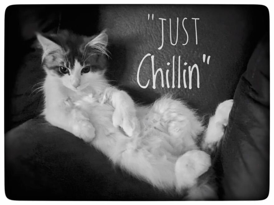 Hey Pandas, Post The Coolest Picture Of An Animal That You’ve Taken (Closed) Hey Pandas, Post The Coolest Picture Of An Animal That You’ve Taken (Closed)