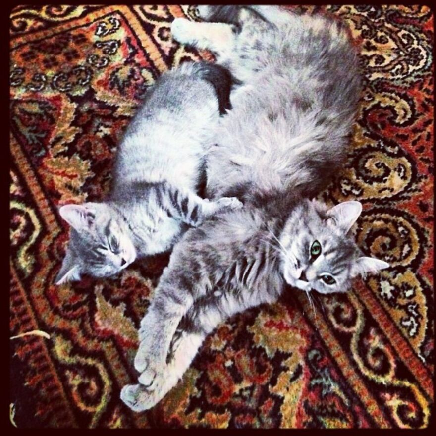 Hey Pandas, Post The Coolest Picture Of An Animal That You’ve Taken (Closed) Hey Pandas, Post The Coolest Picture Of An Animal That You’ve Taken (Closed)