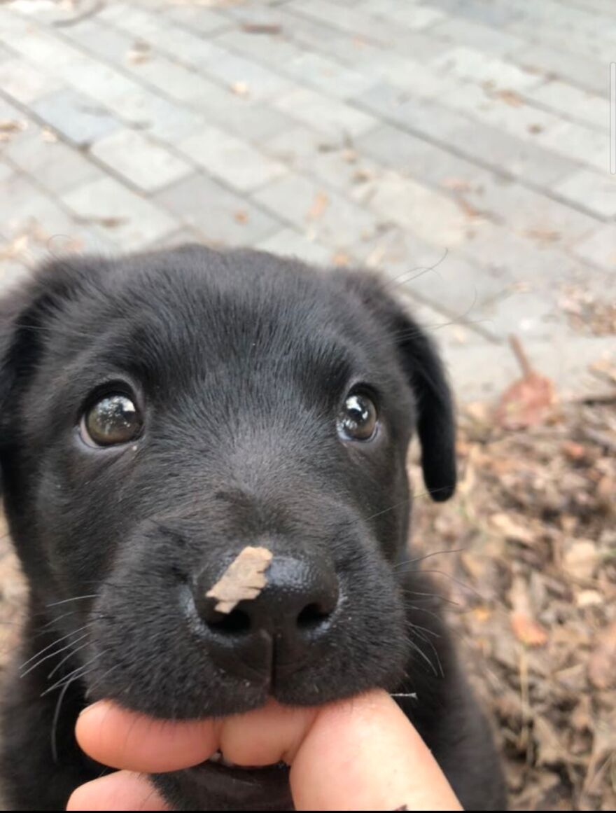 Hey Pandas, Post The Coolest Picture Of An Animal That You’ve Taken (Closed) Hey Pandas, Post The Coolest Picture Of An Animal That You’ve Taken (Closed)