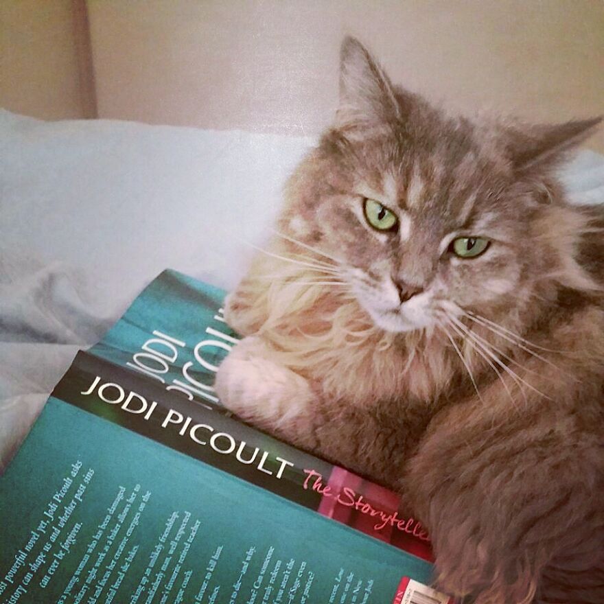 Hey Pandas, Post The Coolest Picture Of An Animal That You’ve Taken (Closed) Hey Pandas, Post The Coolest Picture Of An Animal That You’ve Taken (Closed)