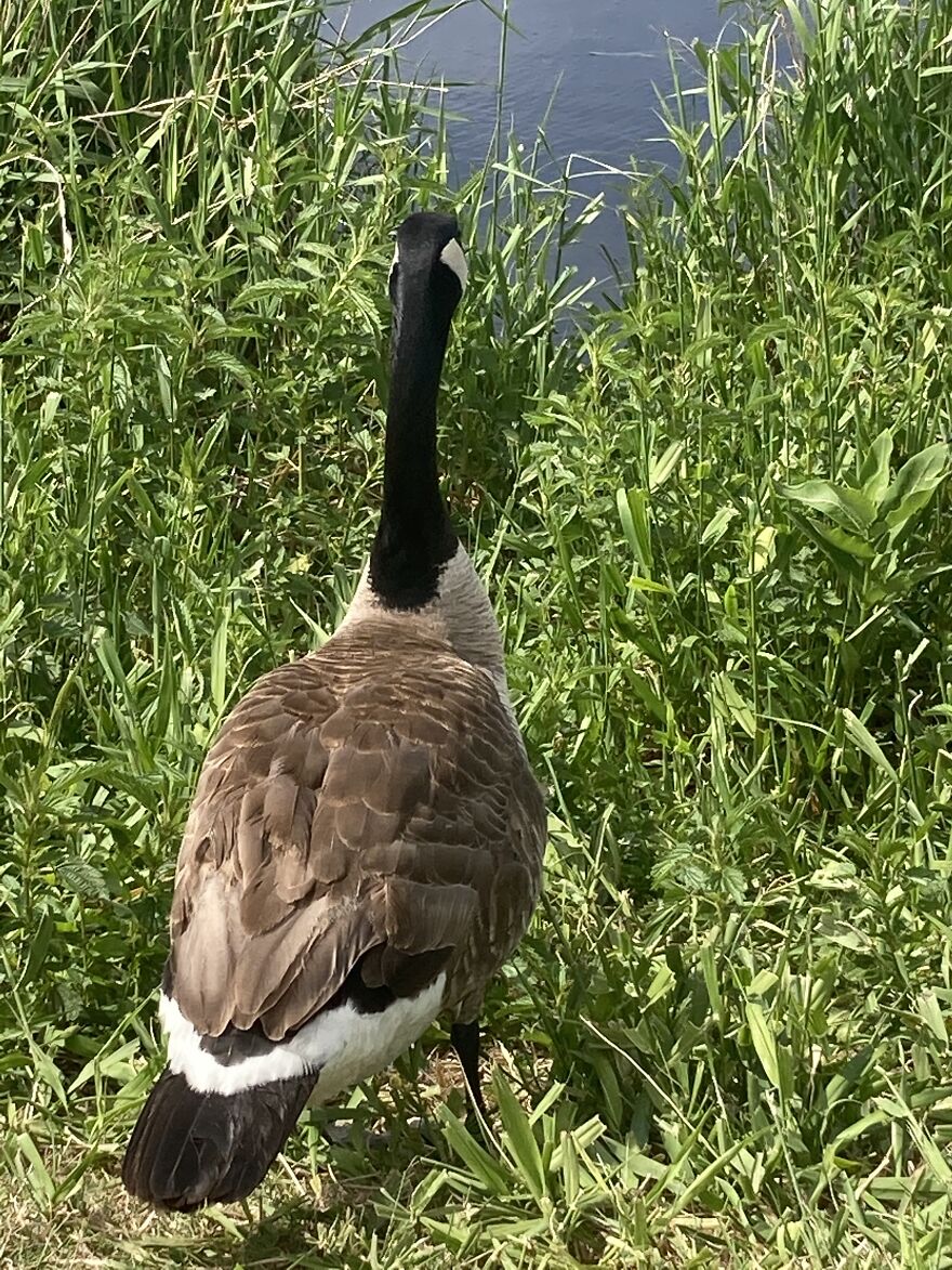 Hey Pandas, Post The Coolest Picture Of An Animal That You’ve Taken (Closed) Hey Pandas, Post The Coolest Picture Of An Animal That You’ve Taken (Closed)