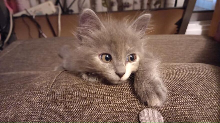 Hey Pandas, Post The Coolest Picture Of An Animal That You’ve Taken (Closed) Hey Pandas, Post The Coolest Picture Of An Animal That You’ve Taken (Closed)