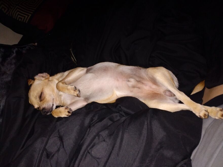 Hey Pandas, Post The Coolest Picture Of An Animal That You’ve Taken (Closed) Hey Pandas, Post The Coolest Picture Of An Animal That You’ve Taken (Closed)