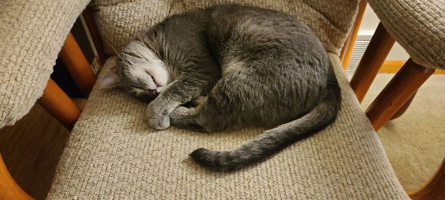 Hey Pandas, Post The Coolest Picture Of An Animal That You’ve Taken (Closed) Hey Pandas, Post The Coolest Picture Of An Animal That You’ve Taken (Closed)